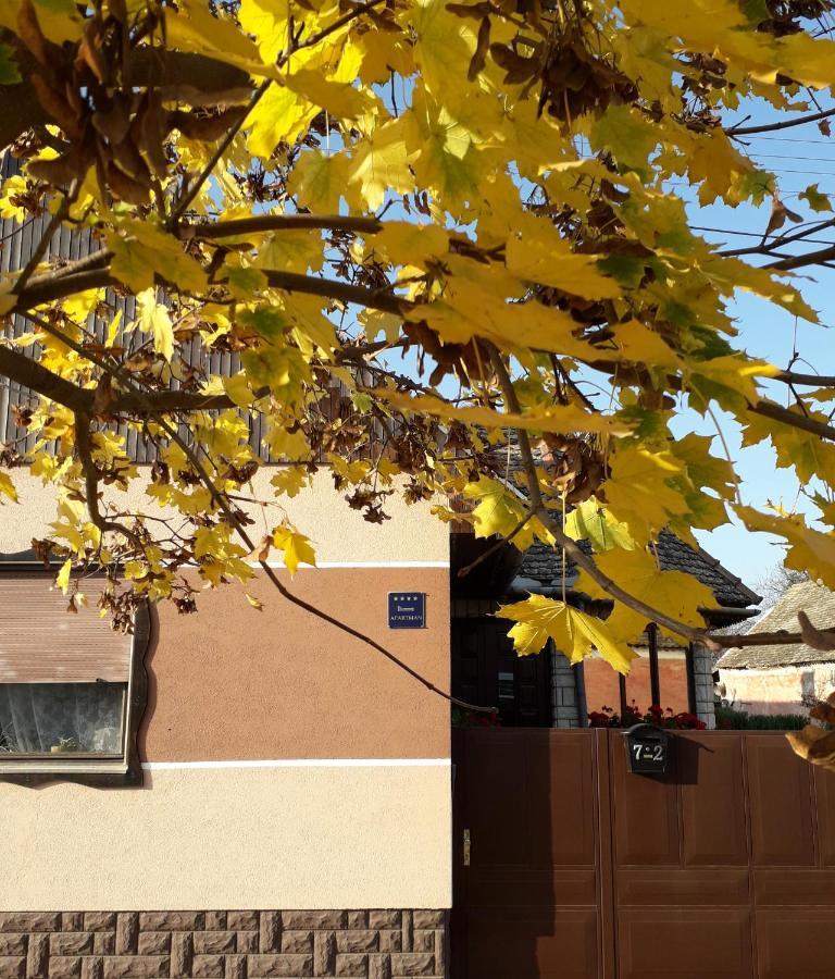 Apartman Sokica Bizovac Luaran gambar